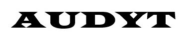 badaniesprawozdan.net.pl
